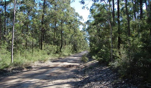 Werakata National Park - Accommodation Gladstone 2