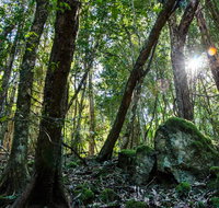 Copeland Tops State Conservation Area - Accommodation Gladstone