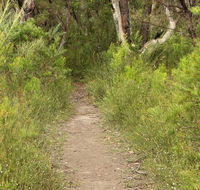 Three Views walking track - Accommodation Gladstone