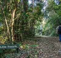Basin Loop track - Accommodation Gladstone
