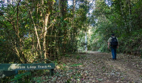 Basin Loop Track - Accommodation Gladstone 0