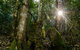Basin Loop Track - thumb 1