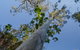 Basin Loop Track - thumb 2
