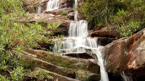 Popran National Park - Accommodation Gladstone 1