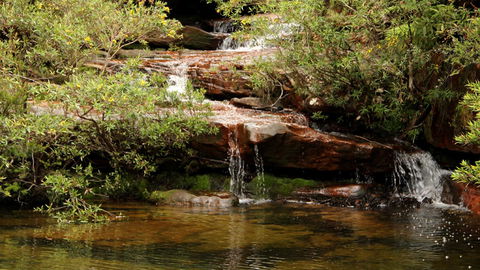 Popran National Park - Accommodation Gladstone 2