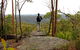 Mount Olive Lookout - thumb 1