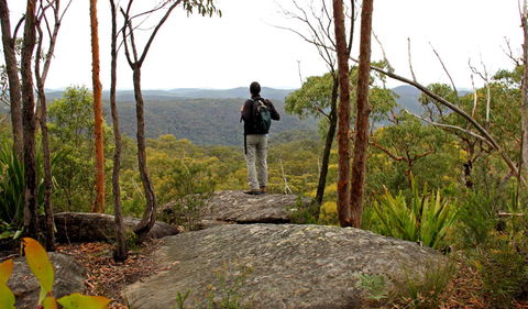 Mount Olive Lookout - Accommodation Gladstone 1