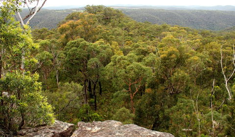 Mount Olive Lookout - Accommodation Gladstone 0