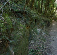 Hidden Treasure track - Accommodation Gladstone