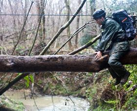 Bear Grylls Survival Academy - Accommodation Gladstone 5