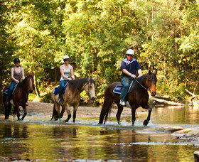 Glenworth Valley Outdoor Adventures - Accommodation Gladstone 2