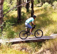 The Steps Mountain Bike Park - Accommodation Gladstone