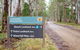 Beech Lookout - thumb 0