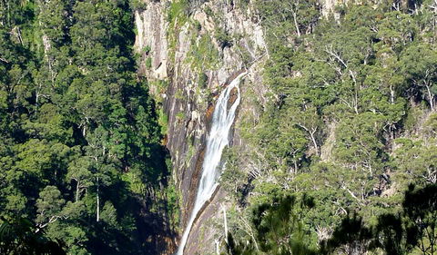 Carrai National Park - Accommodation Gladstone 0