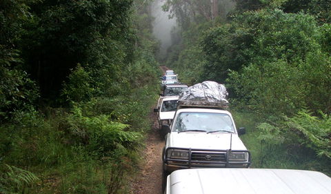 Carrai National Park - Accommodation Gladstone 3