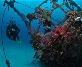 Severance Shipwreck Dive Site - Accommodation Gladstone 0