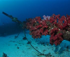 Severance Shipwreck Dive Site - Accommodation Gladstone 2