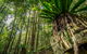 Palm Grove Nature Reserve - thumb 1