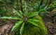 Palm Grove Nature Reserve - thumb 2