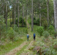 The Green Gully track - Accommodation Gladstone