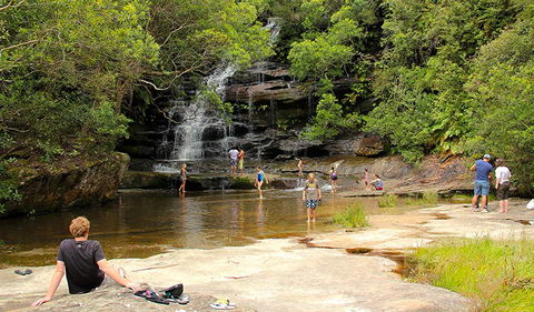 Somersby Falls Picnic Area - Accommodation Gladstone 0