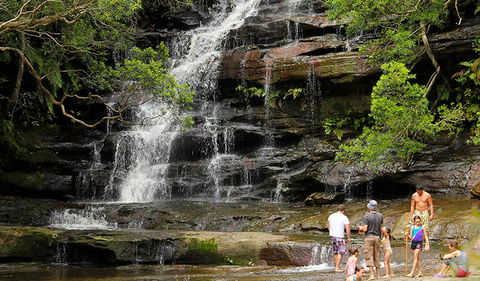 Somersby Falls Picnic Area - Accommodation Gladstone 2