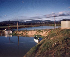 Trudgalong Farm - Accommodation Gladstone 1