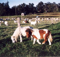 Trudgalong Farm - Accommodation Gladstone