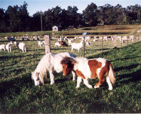 Trudgalong Farm - Accommodation Gladstone 0