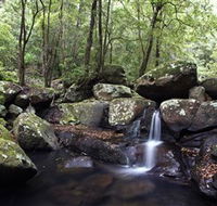 Kangaroo River - Accommodation Gladstone