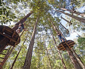 TreeTop Adventure Park Central Coast - Accommodation Gladstone 0
