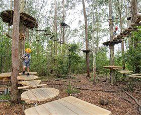 TreeTop Adventure Park Central Coast - Accommodation Gladstone 1