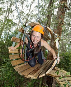 TreeTop Adventure Park Central Coast - Accommodation Gladstone 3