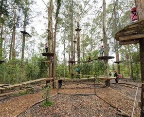 TreeTop Adventure Park Central Coast - Accommodation Gladstone 5
