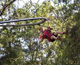 TreeTops Crazy Rider - Accommodation Gladstone 1