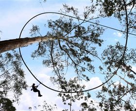 TreeTops Crazy Rider - Accommodation Gladstone 0