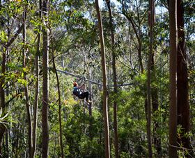 TreeTops Crazy Rider - Accommodation Gladstone 3