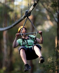 TreeTops Crazy Rider - Accommodation Gladstone 2