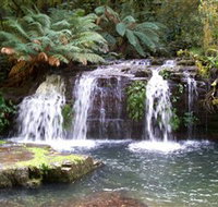 Barrington Tops National Park Walks - Accommodation Gladstone