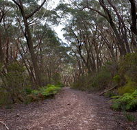 Budawang National Park - Accommodation Gladstone