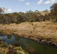 Werrikimbe National Park - Accommodation Gladstone