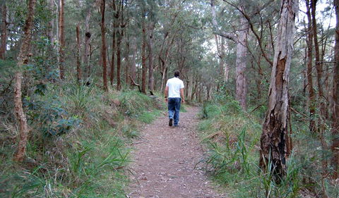 Lake Macquarie State Conservation Area - Accommodation Gladstone 3