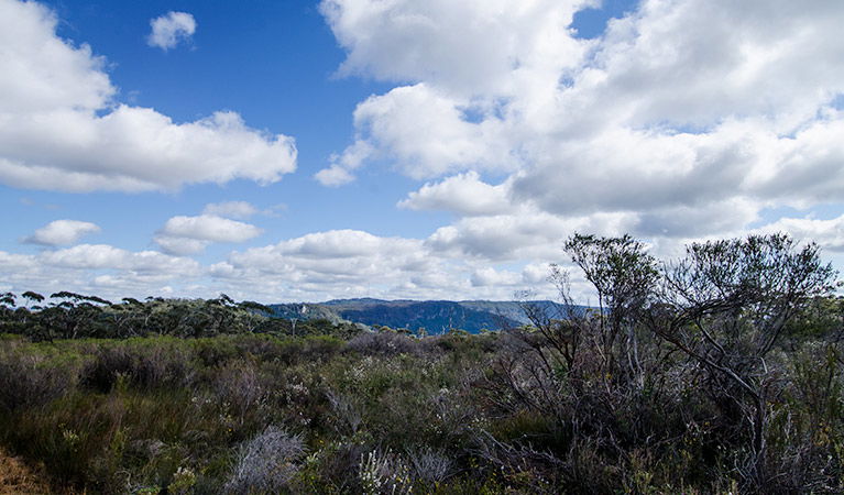 Barren Grounds NSW Accommodation Gladstone