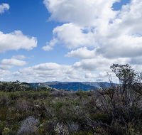 Barren Grounds Nature Reserve - Accommodation Gladstone