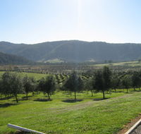Hastings Valley Olives - Accommodation Gladstone