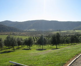 Hastings Valley Olives - Accommodation Gladstone 0