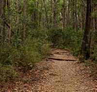 Pigeon House Mountain Didthul walking track - Accommodation Gladstone