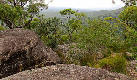 Pigeon House Mountain Didthul Walking Track - Accommodation Gladstone 1