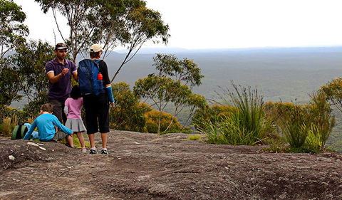 Pigeon House Mountain Didthul Walking Track - Accommodation Gladstone 2