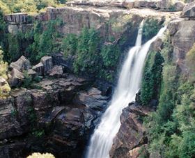 Minnamurra Rainforest Centre: Budderoo National Park - Accommodation Gladstone 0